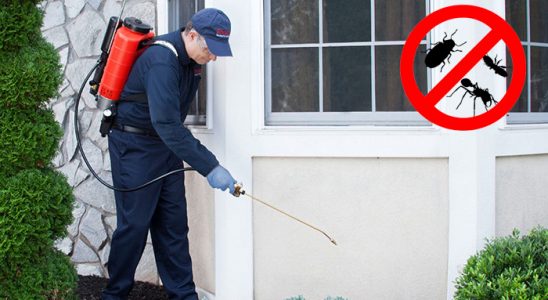 Evka 4 Tahtakurusu İlaçlama böcek ilaçlama ve haşere kontrolü — ilaclama-tr.com